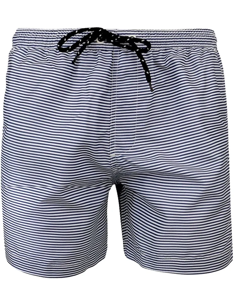 Ascot Stripe Print Swim Shorts in Navy / White