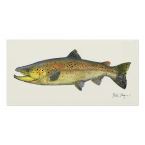 Brown Trout Canvas Print