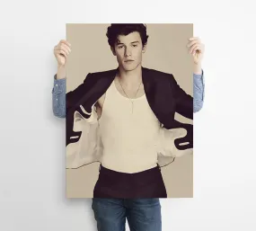 Shawn Mendes Custom Poster, Shawn Mendes Canvas Rolls, Custom Music Canvas, Home decor, Wall Hanging, Singer Canvas Rolls