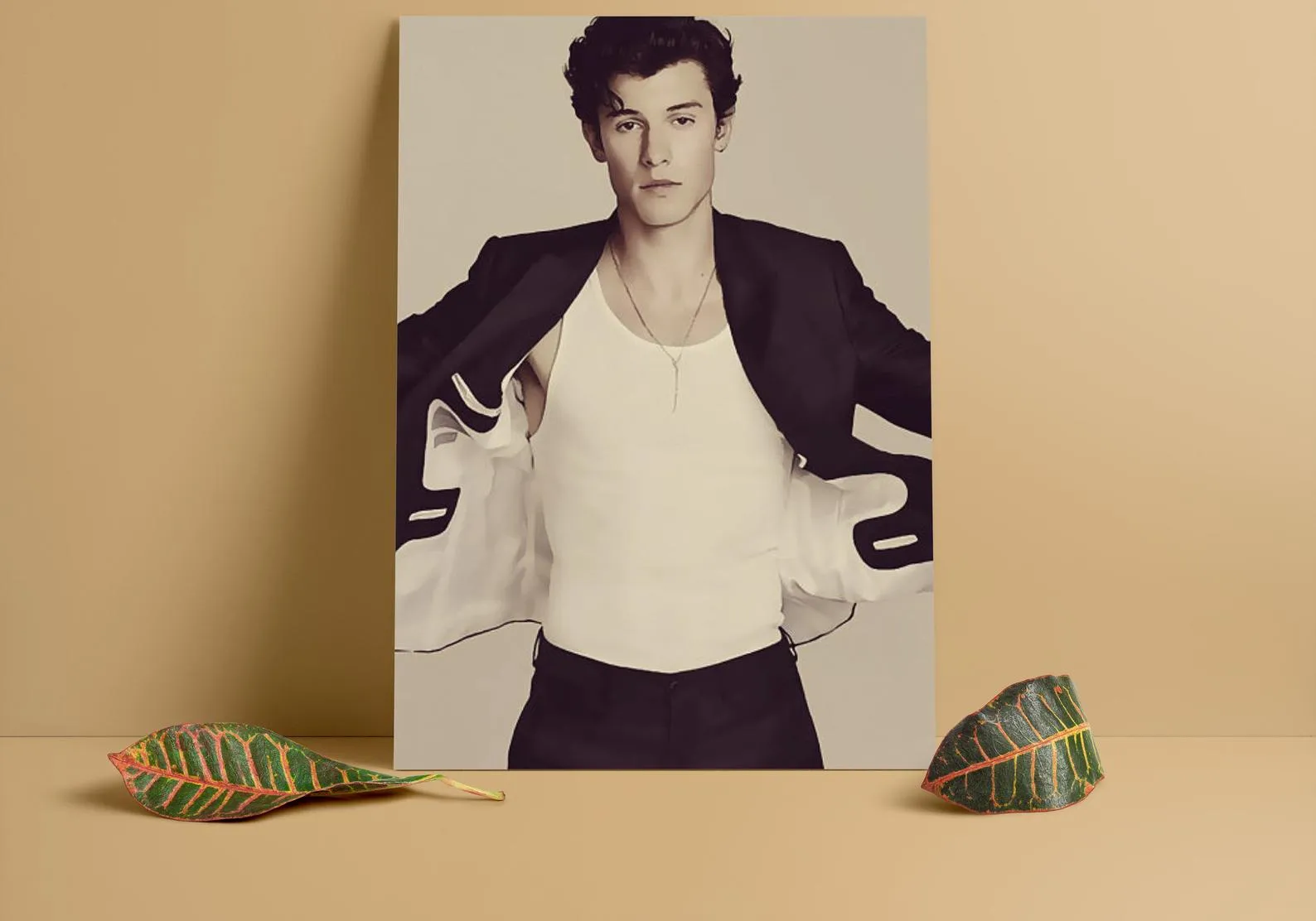 Shawn Mendes Custom Poster, Shawn Mendes Canvas Rolls, Custom Music Canvas, Home decor, Wall Hanging, Singer Canvas Rolls